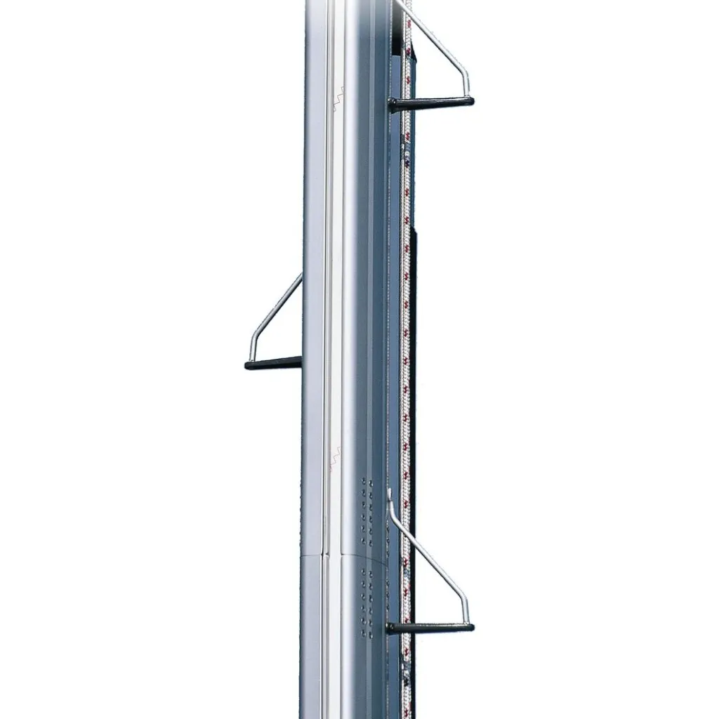 Selden mastetrinn.webp