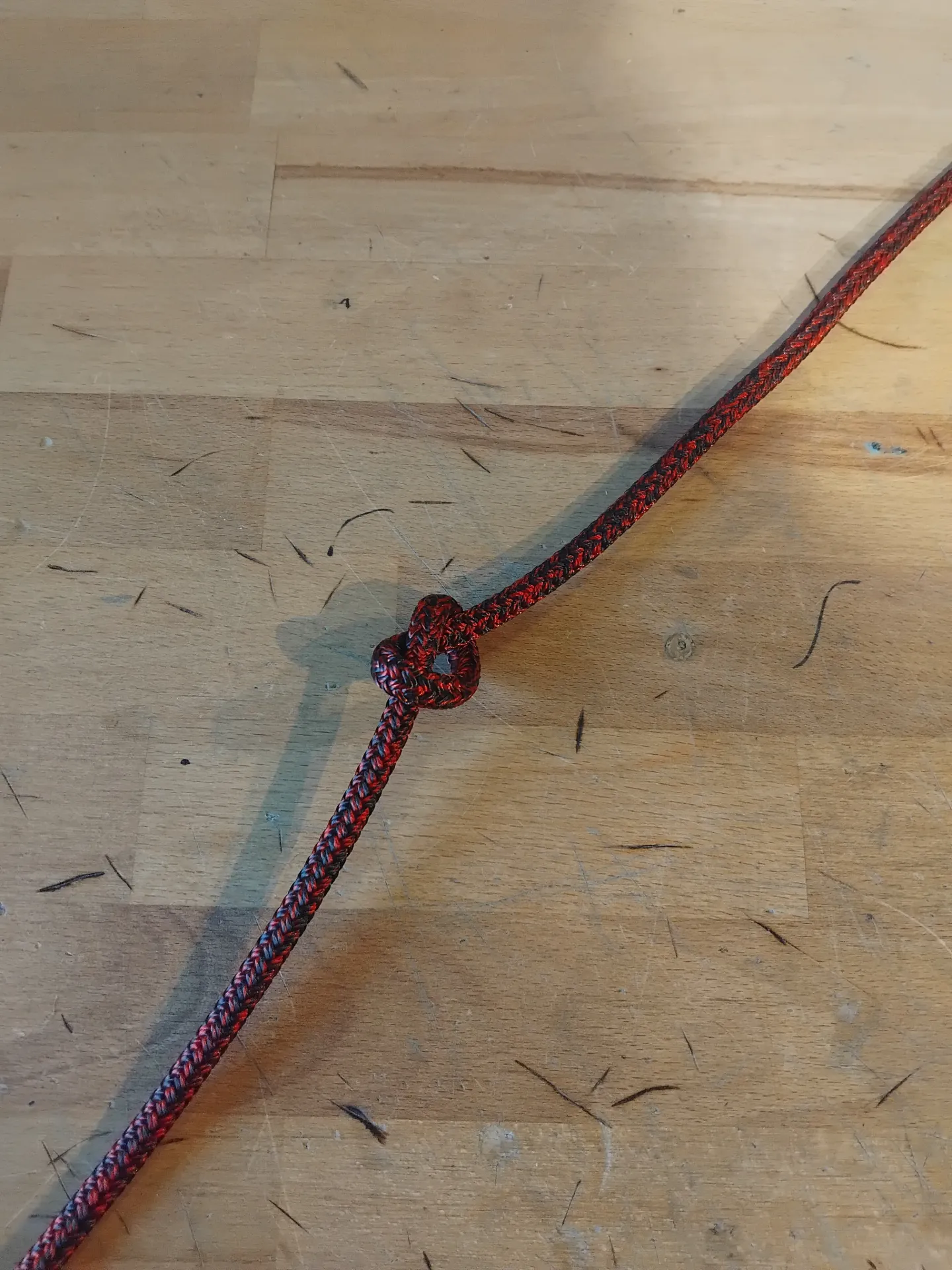 Evolution Race Dyneema Ø5m (Rød)