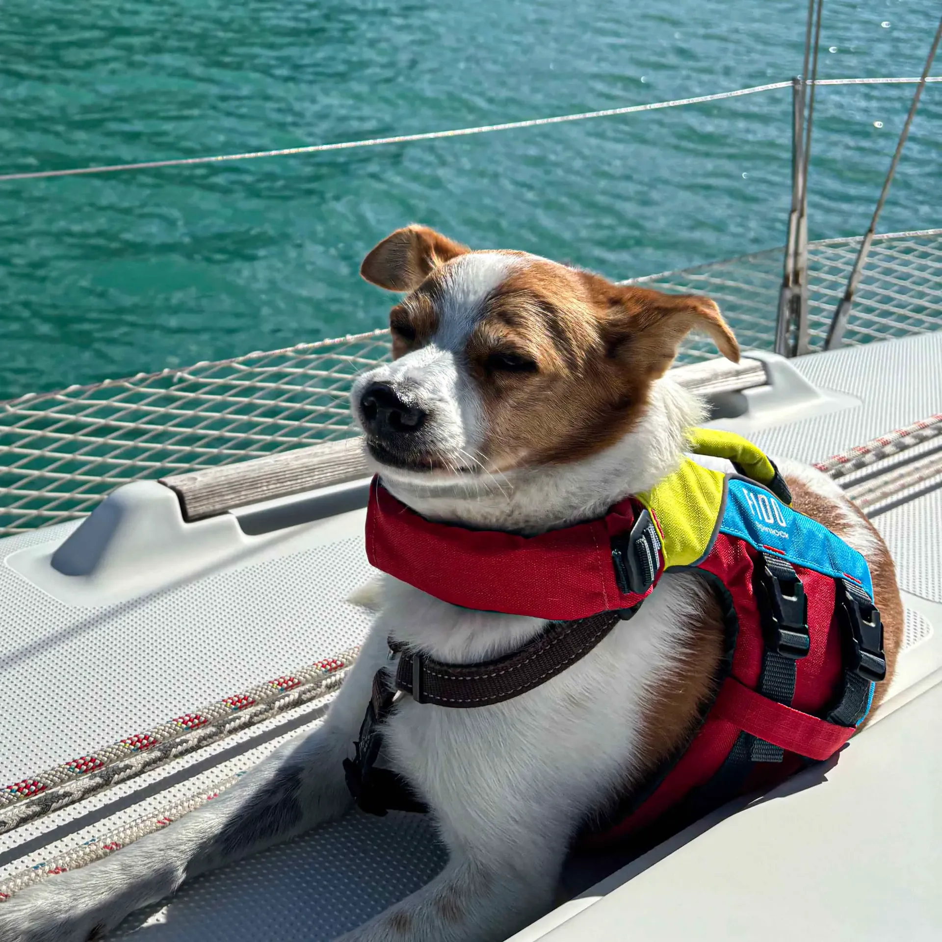 [DW-FD/S] FIDO, Redningsvest for hund, Small